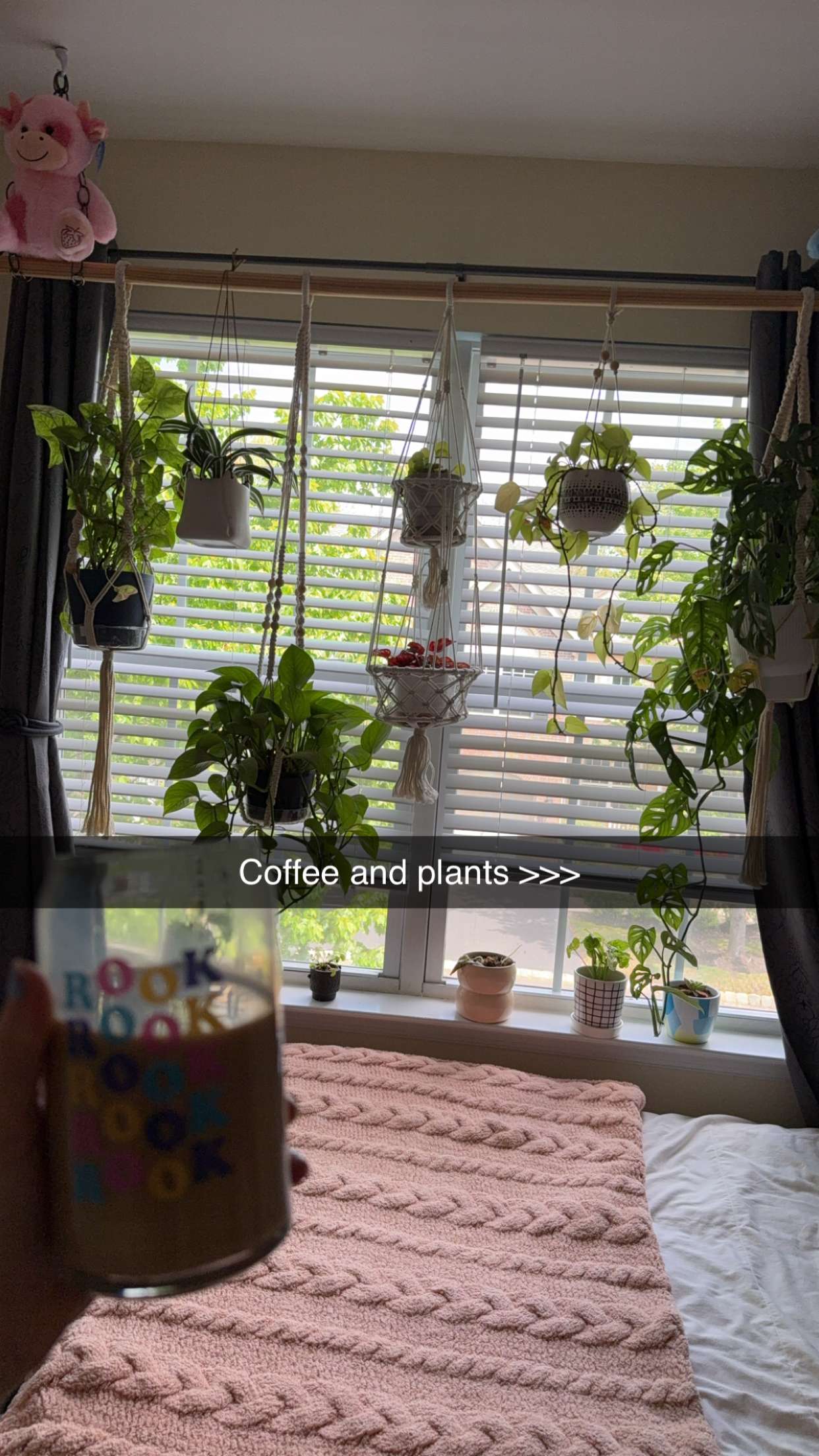 kayleedolisi snapchat image archive image