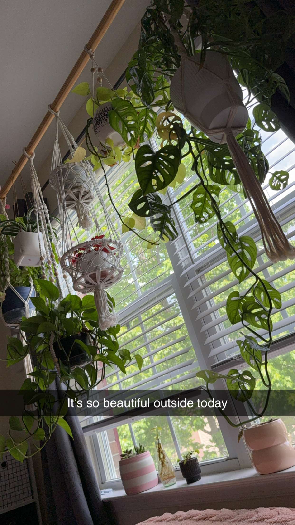 kayleedolisi snapchat image archive image