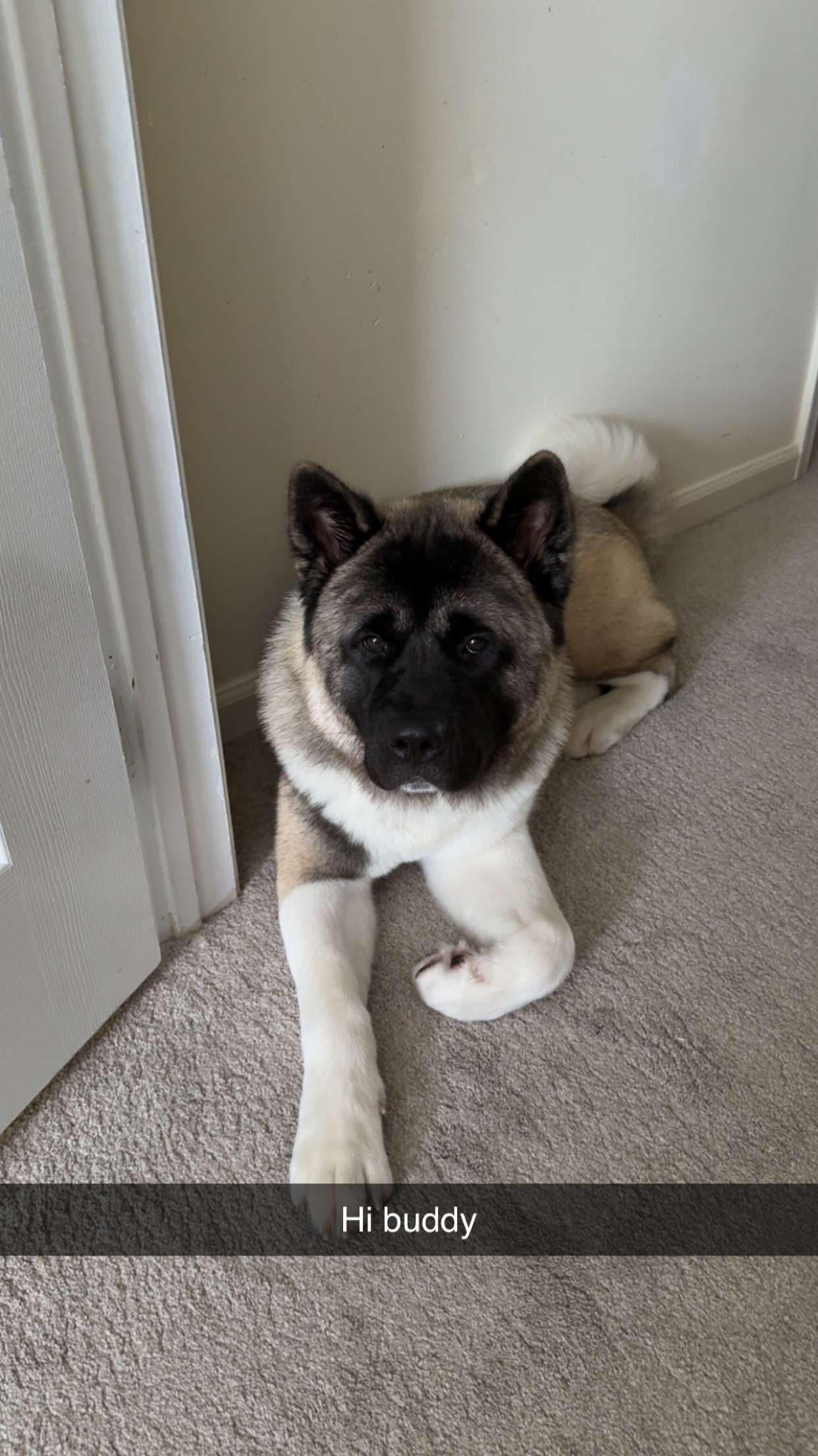 kayleedolisi snapchat image archive image