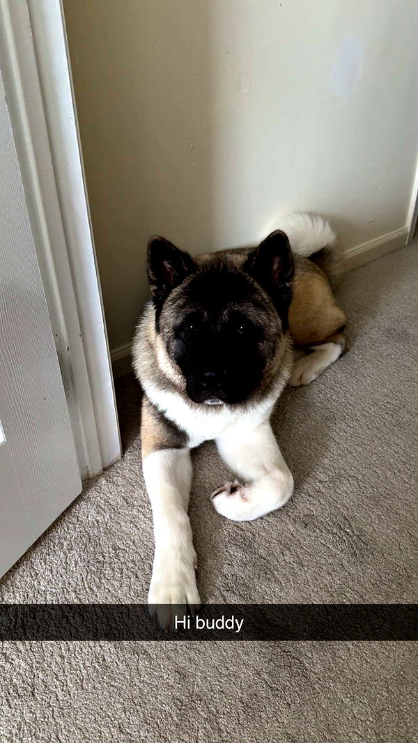 kayleedolisi image ~ Altpins