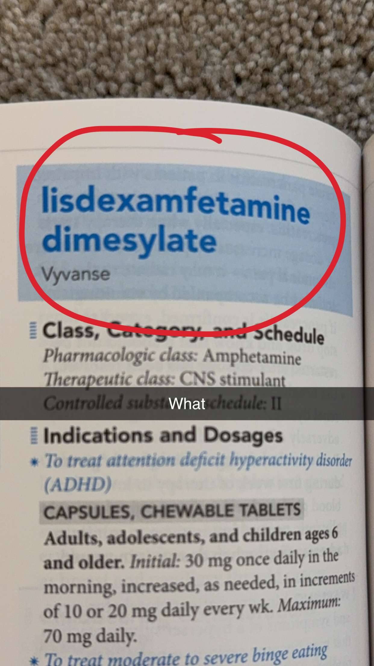 kayleedolisi snapchat image archive image