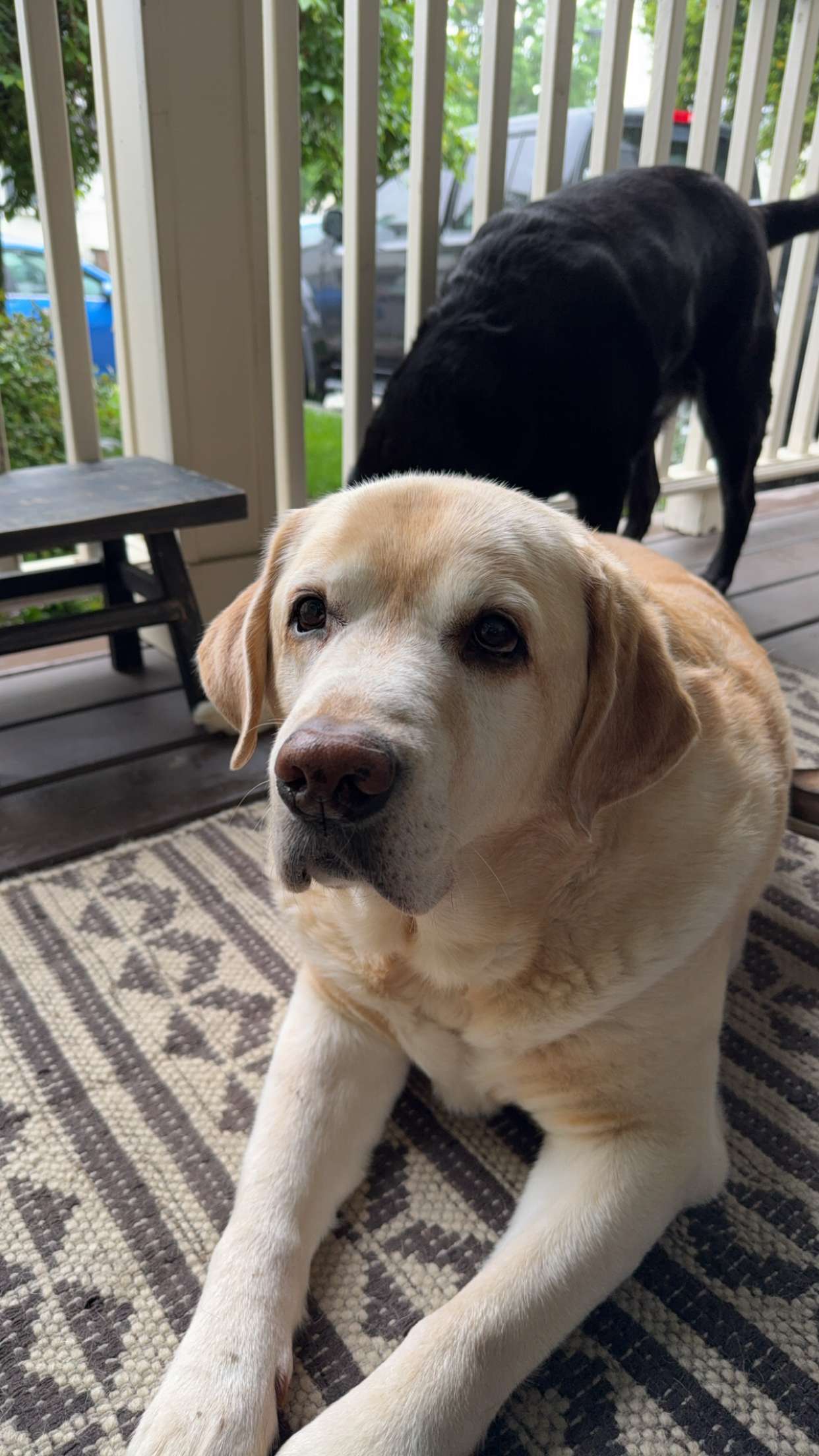 kayleedolisi snapchat image archive image