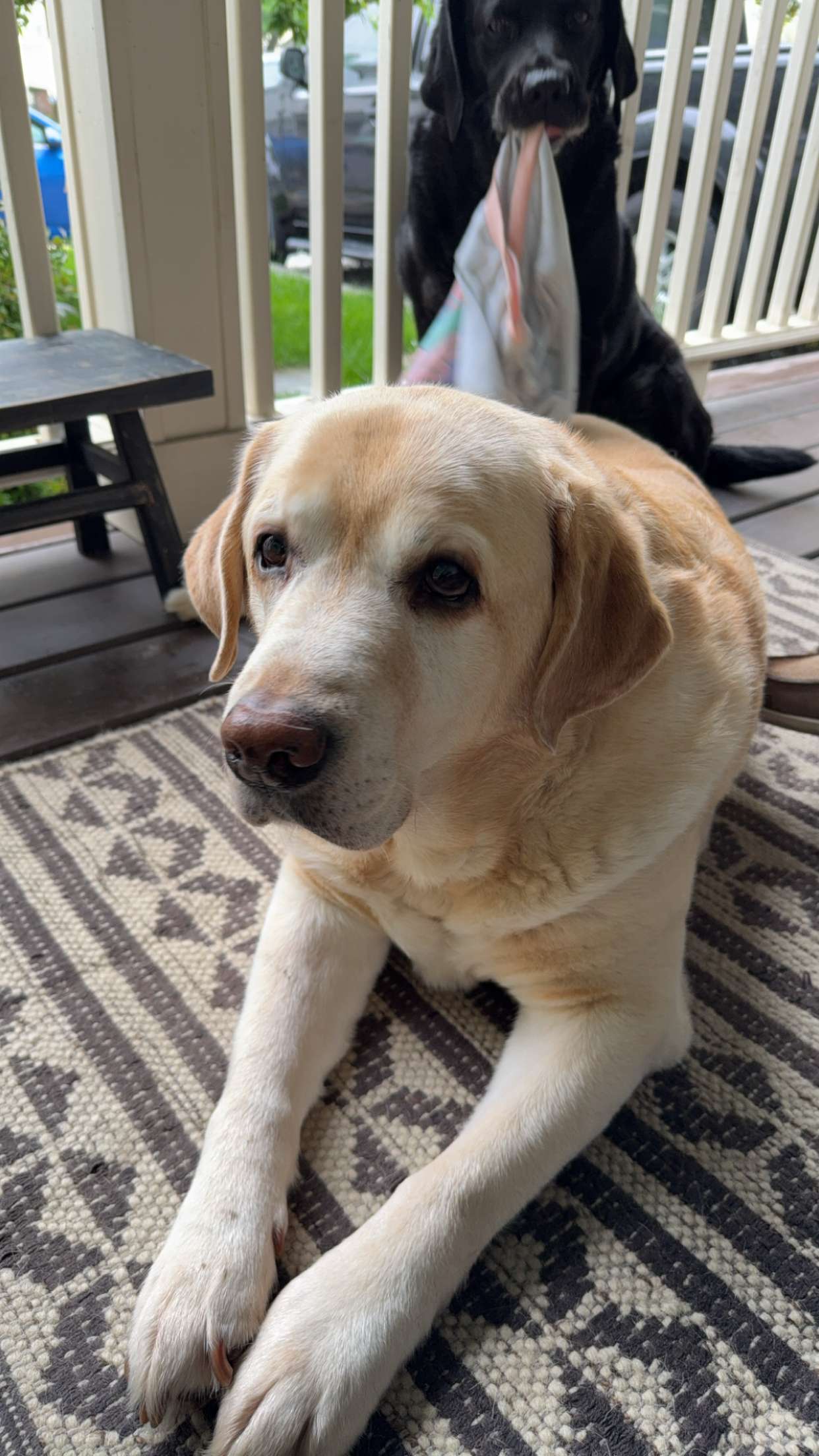 kayleedolisi snapchat image archive image