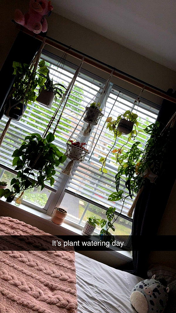 kayleedolisi image ~ Altpins