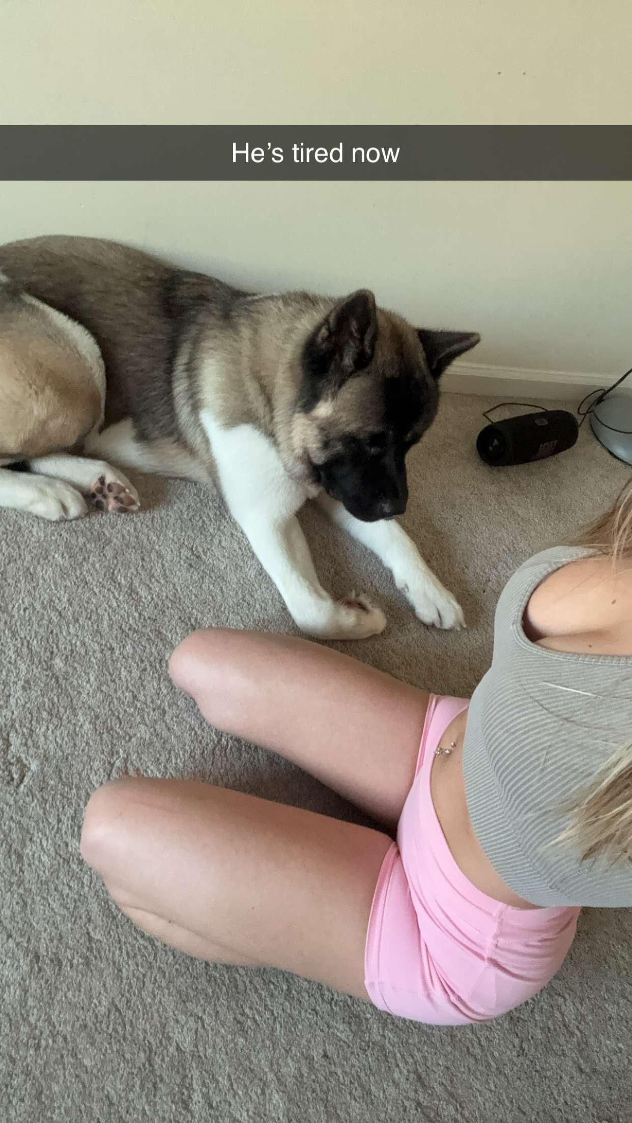 kayleedolisi snapchat image archive image