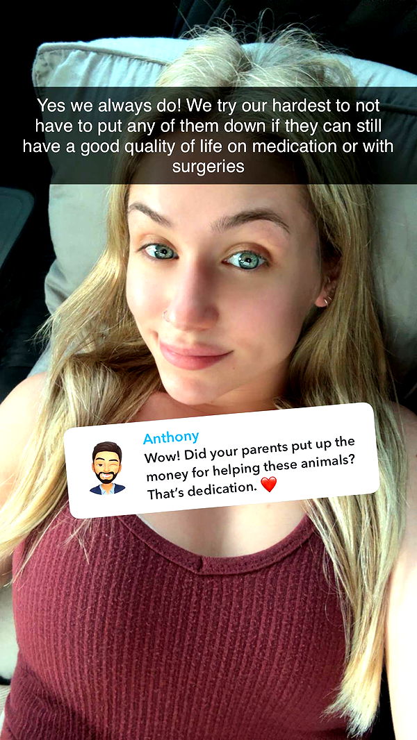 kayleedolisi image ~ Altpins