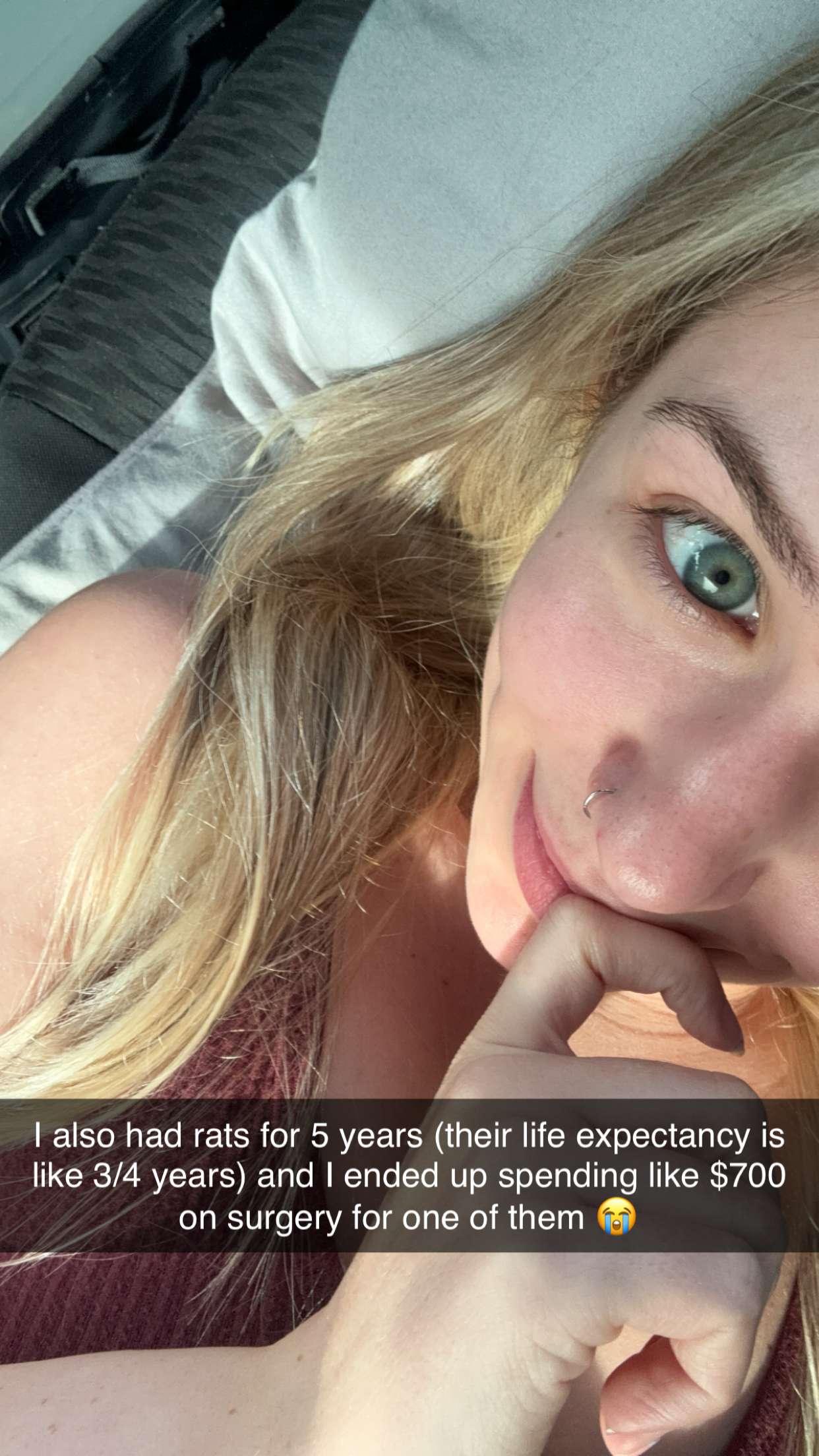 kayleedolisi snapchat image archive image