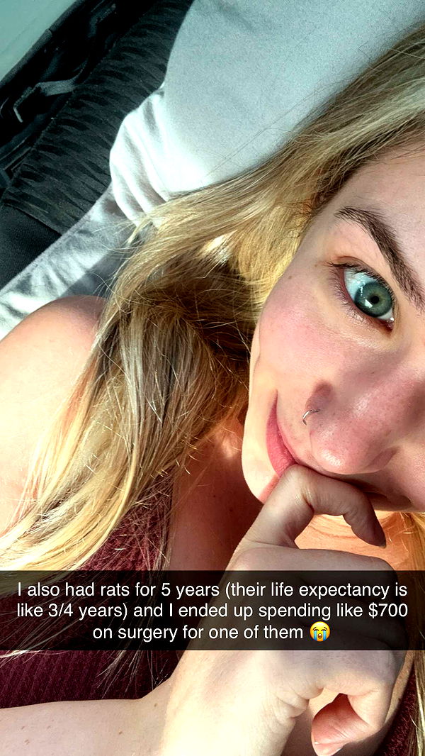 kayleedolisi image ~ Altpins