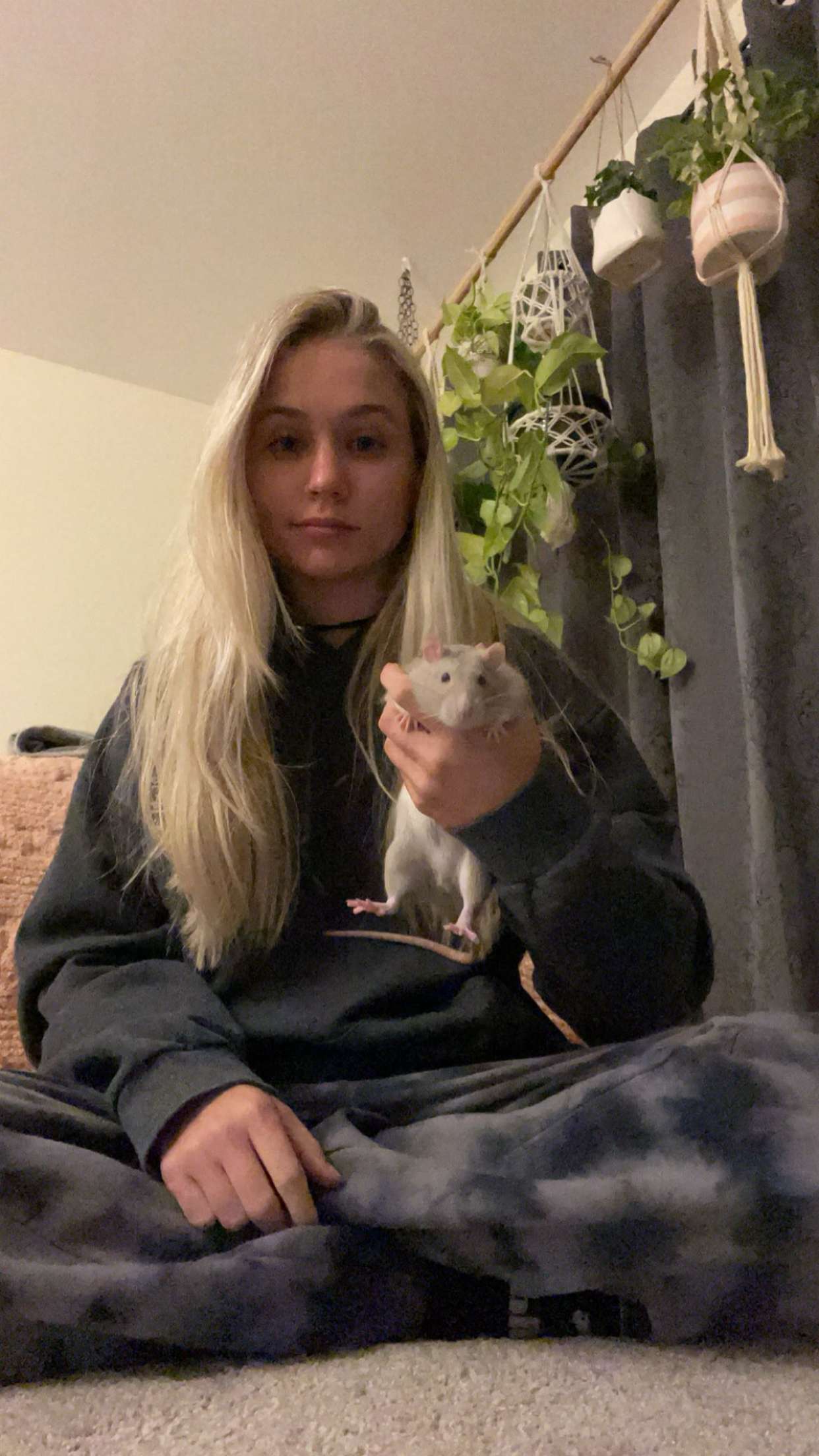 kayleedolisi snapchat image archive image