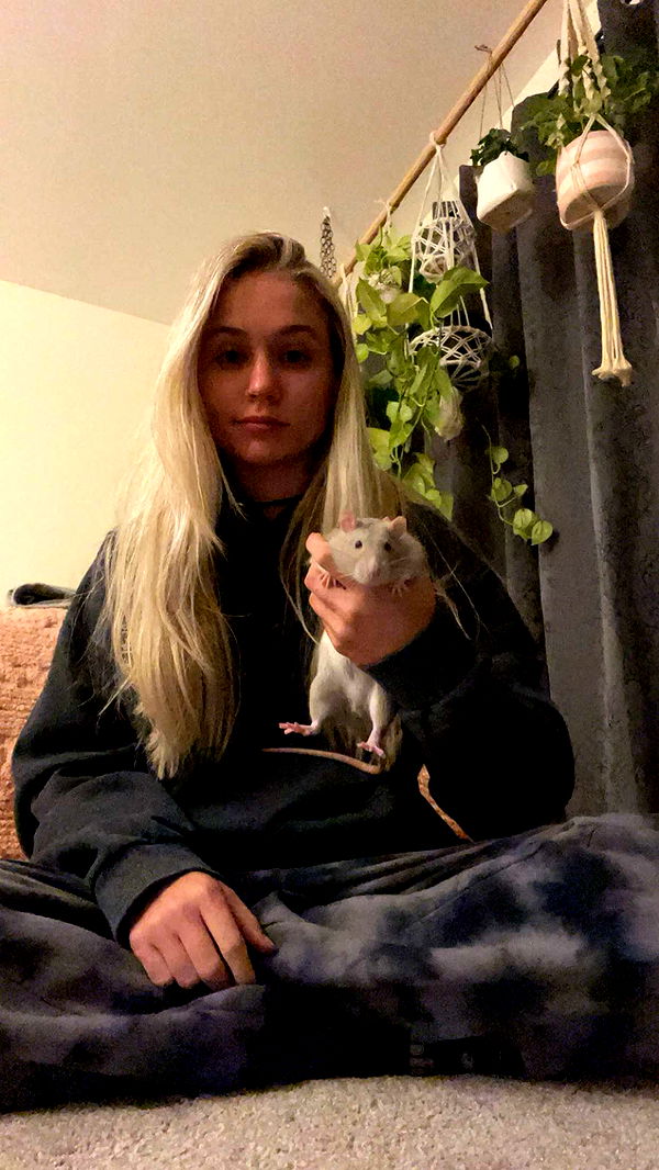 kayleedolisi image ~ Altpins