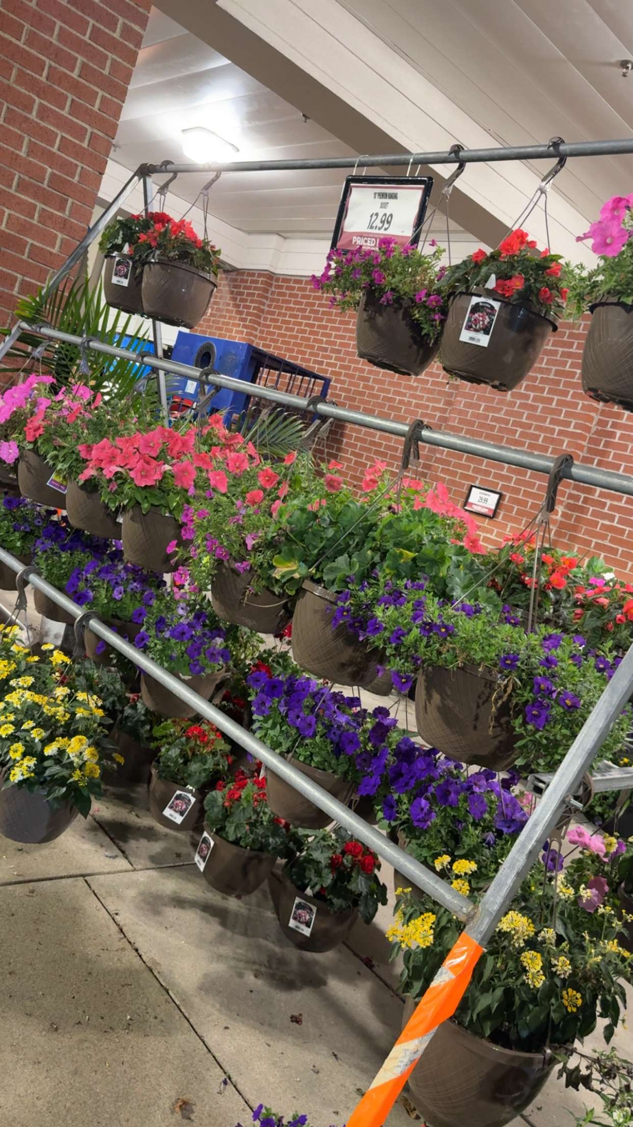 kayleedolisi snapchat image archive image