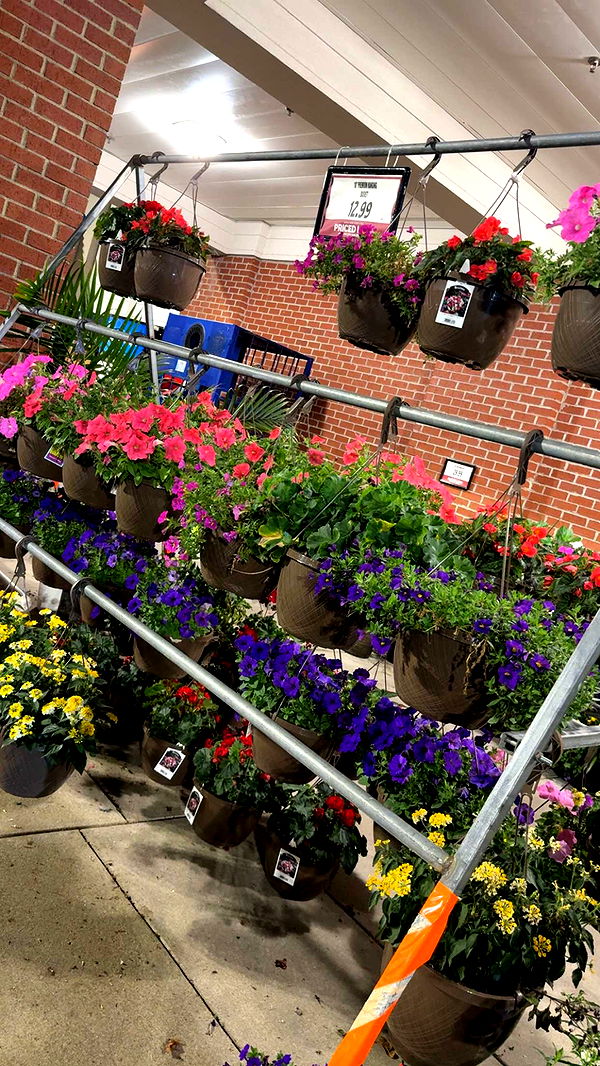 kayleedolisi image ~ Altpins