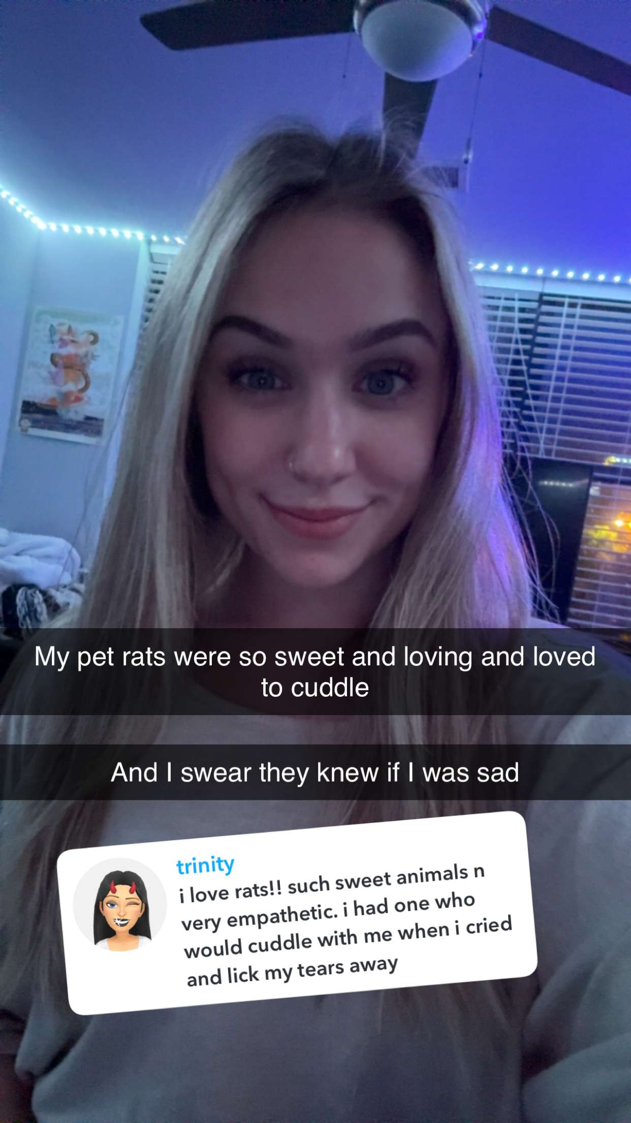 kayleedolisi snapchat image archive image