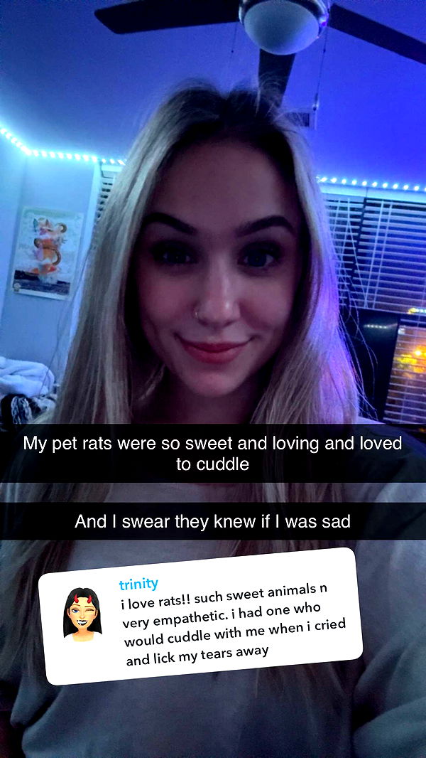 kayleedolisi image ~ Altpins