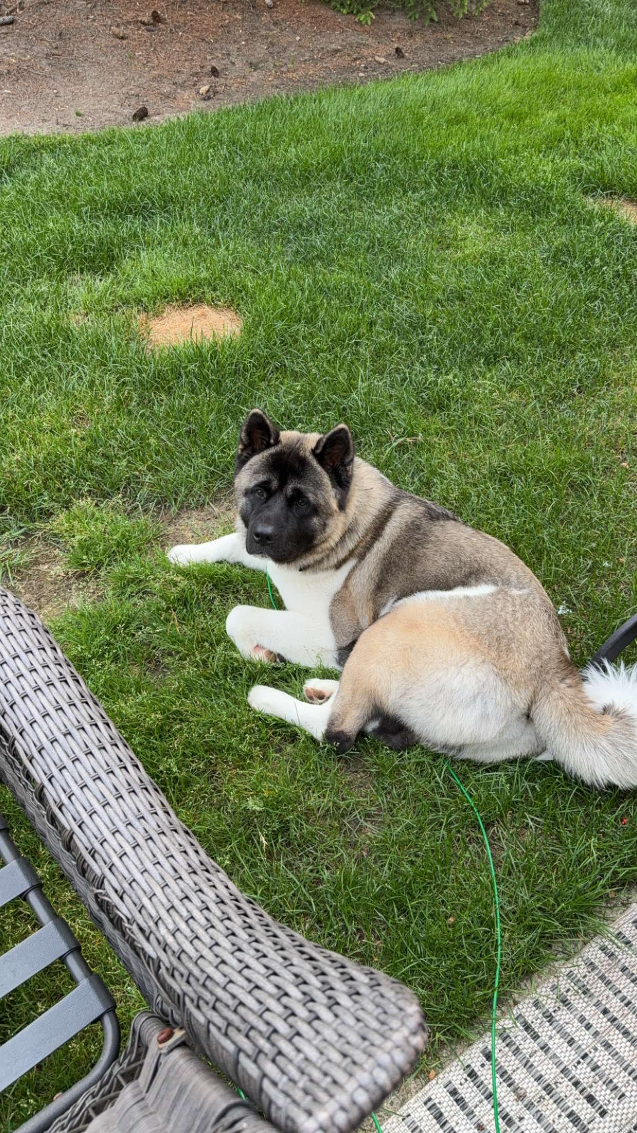 kayleedolisi snapchat image archive image