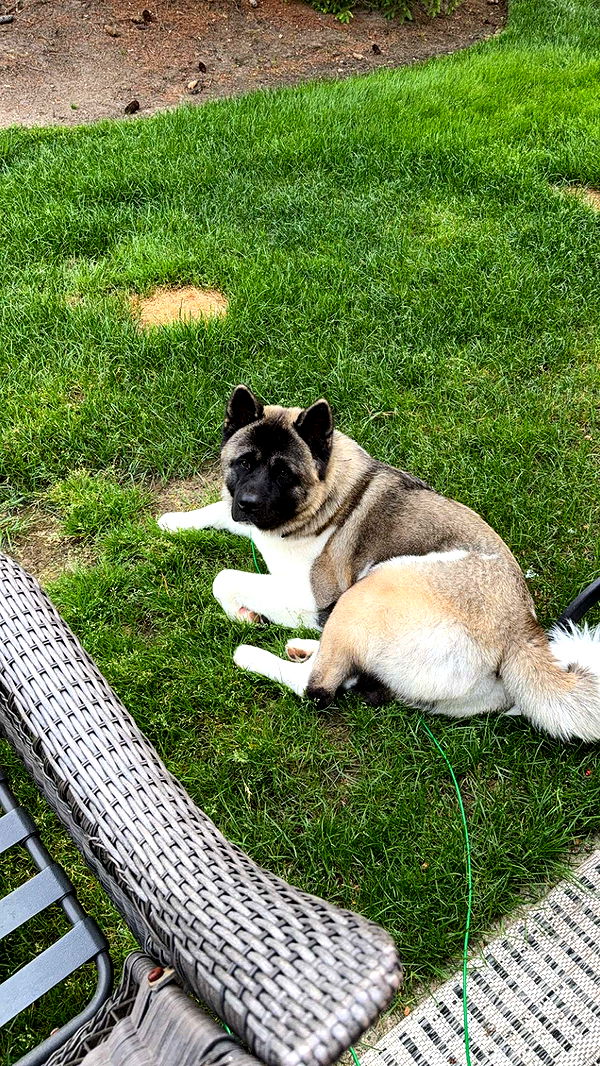 kayleedolisi image ~ Altpins