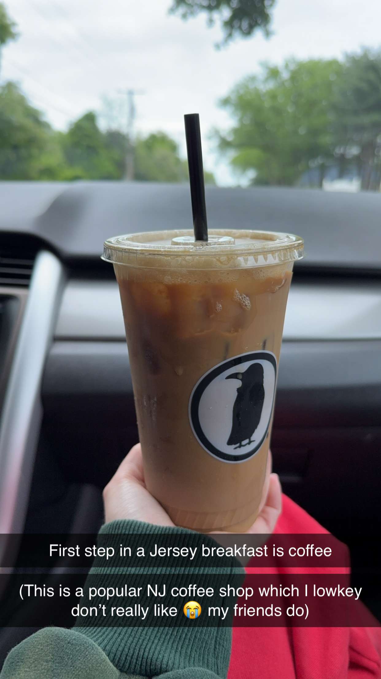 kayleedolisi snapchat image archive image