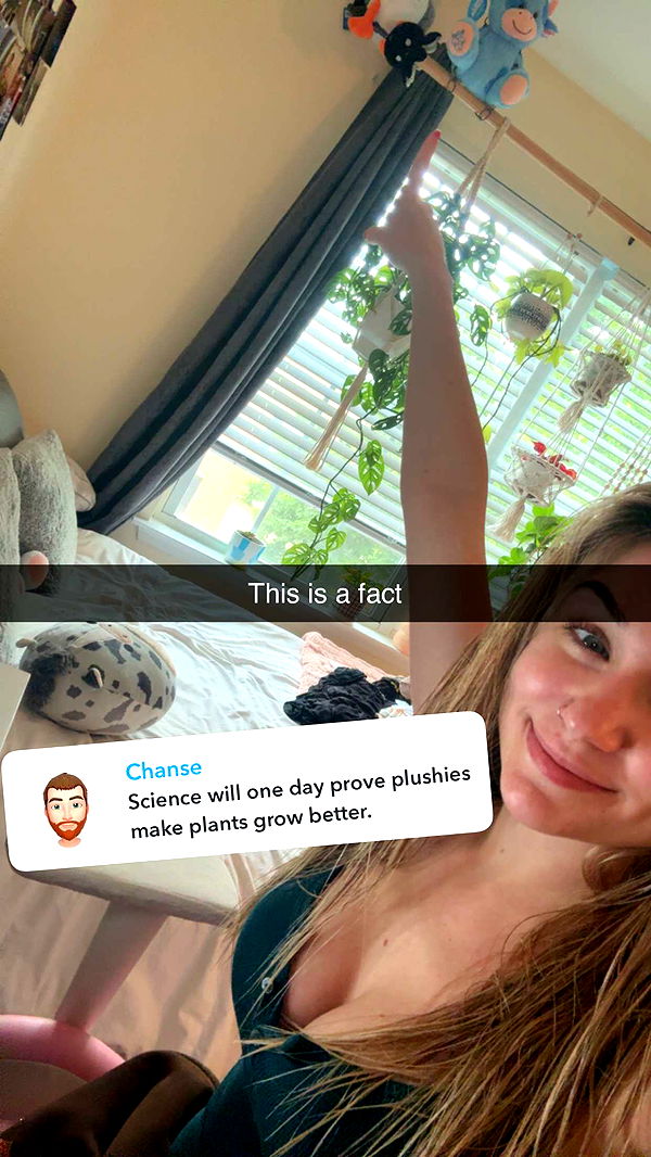 kayleedolisi image ~ Altpins