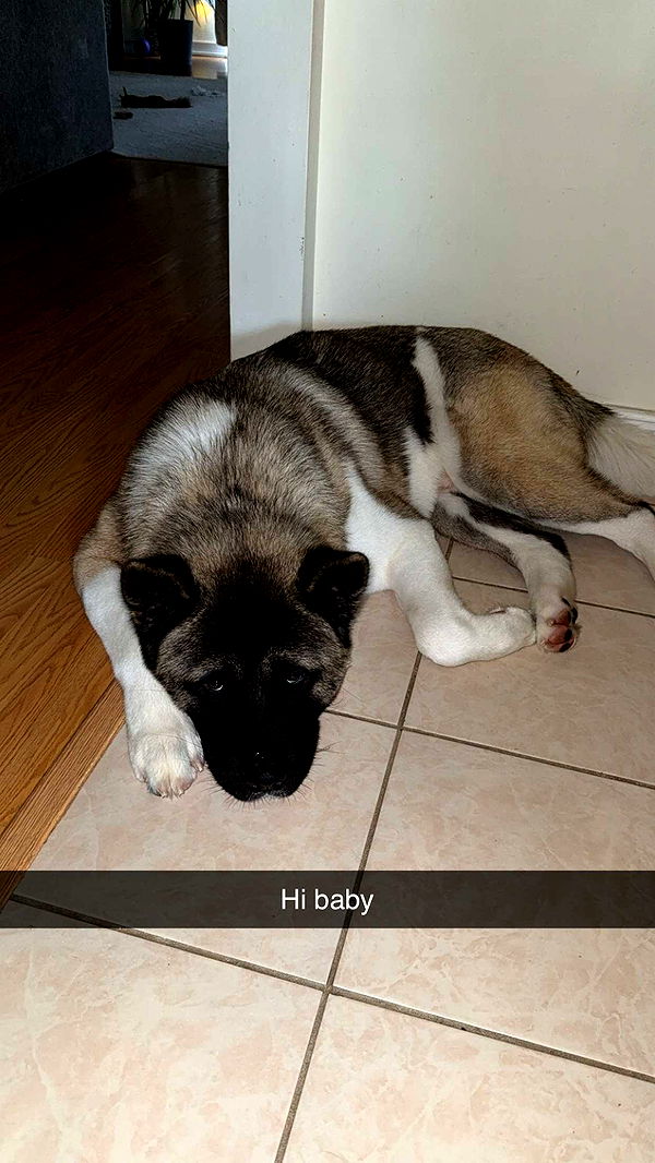 kayleedolisi image ~ Altpins