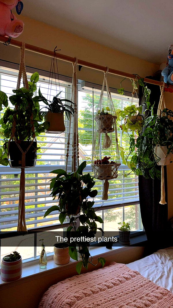 kayleedolisi image ~ Altpins