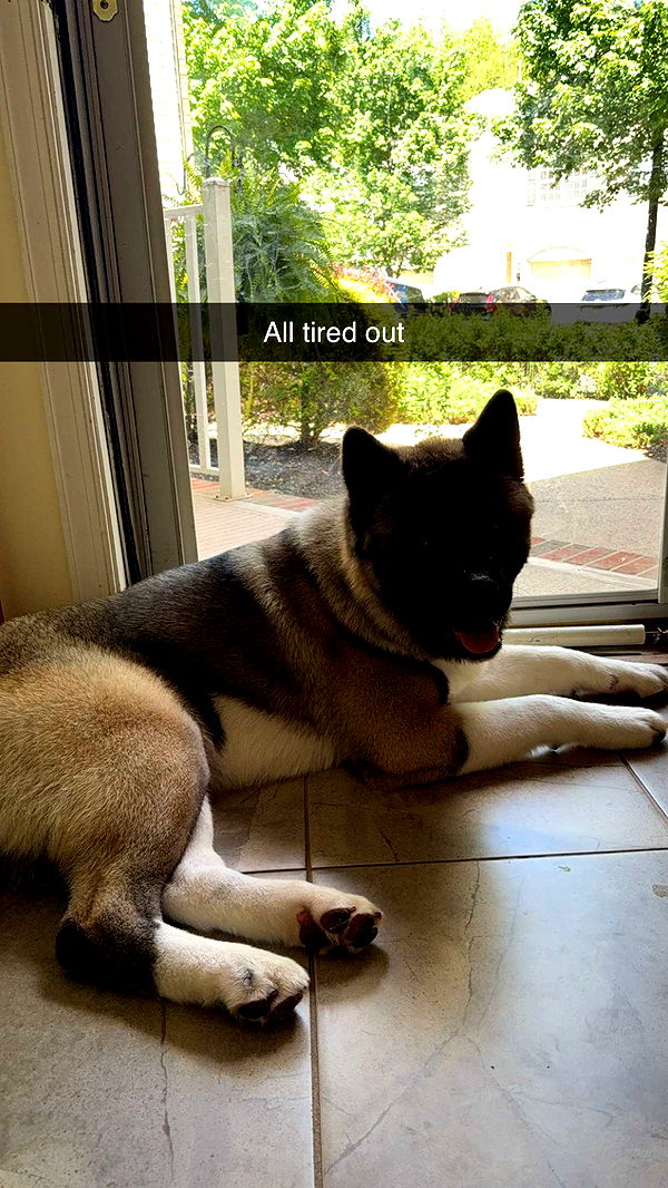 kayleedolisi image ~ Altpins