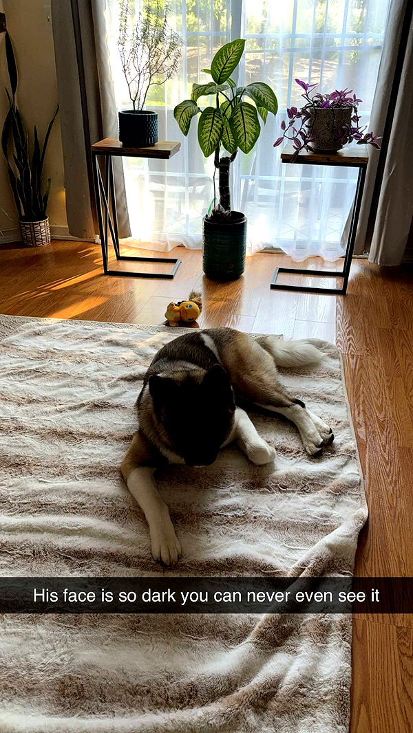 kayleedolisi image ~ Altpins