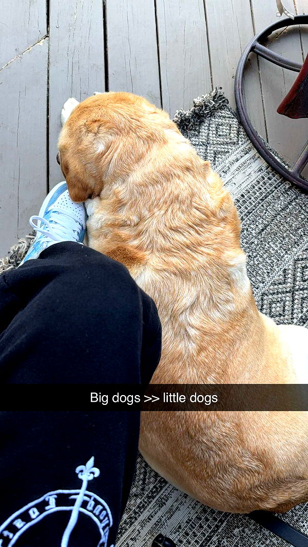 kayleedolisi image ~ Altpins