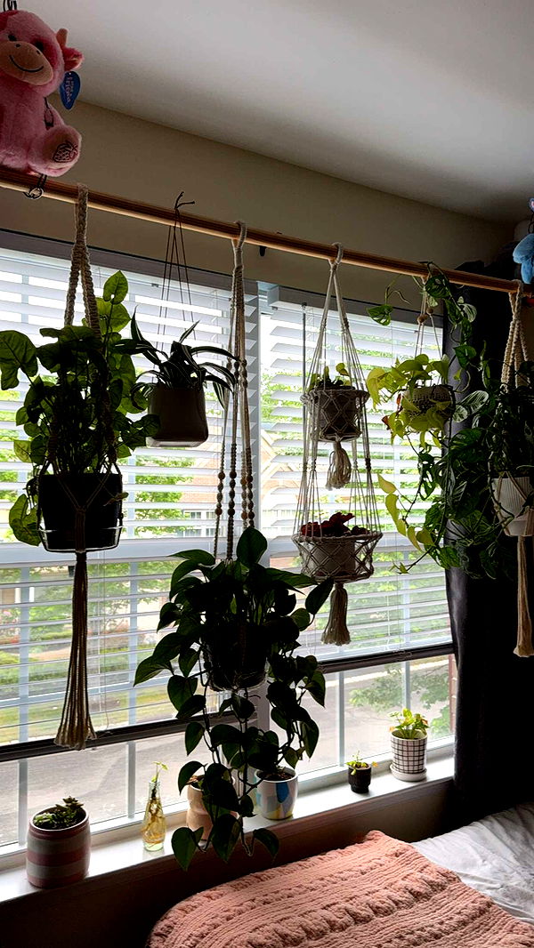 kayleedolisi image ~ Altpins