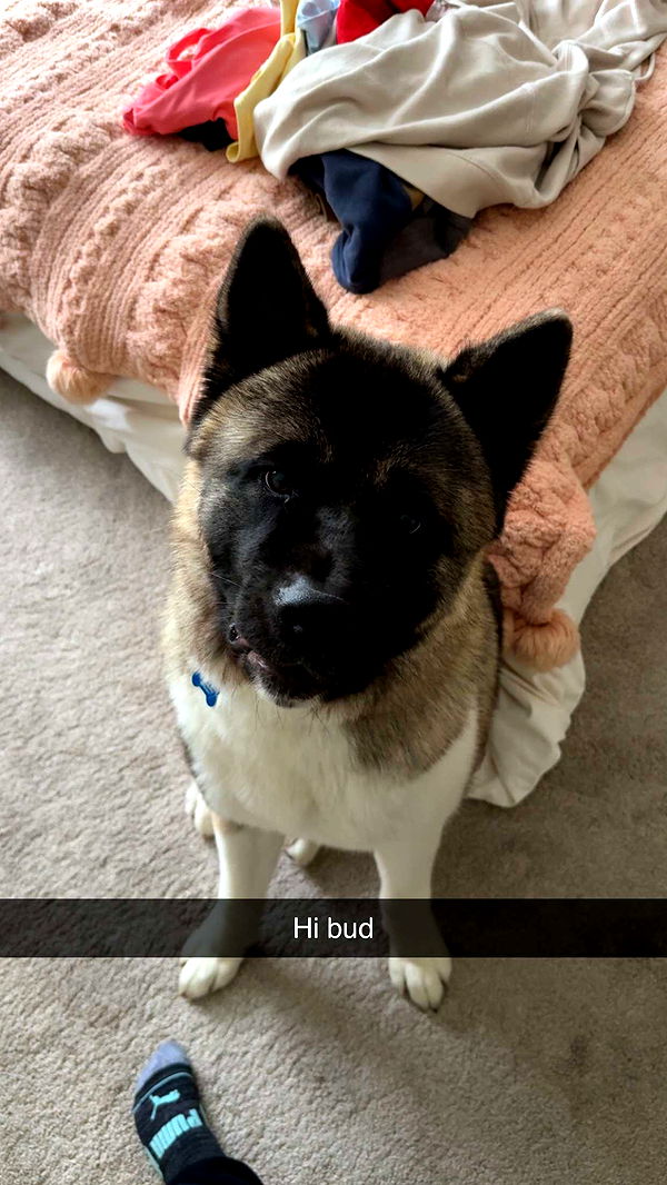 kayleedolisi image ~ Altpins