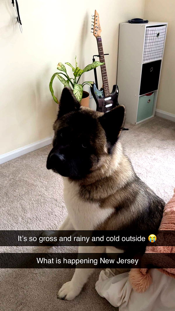 kayleedolisi image ~ Altpins