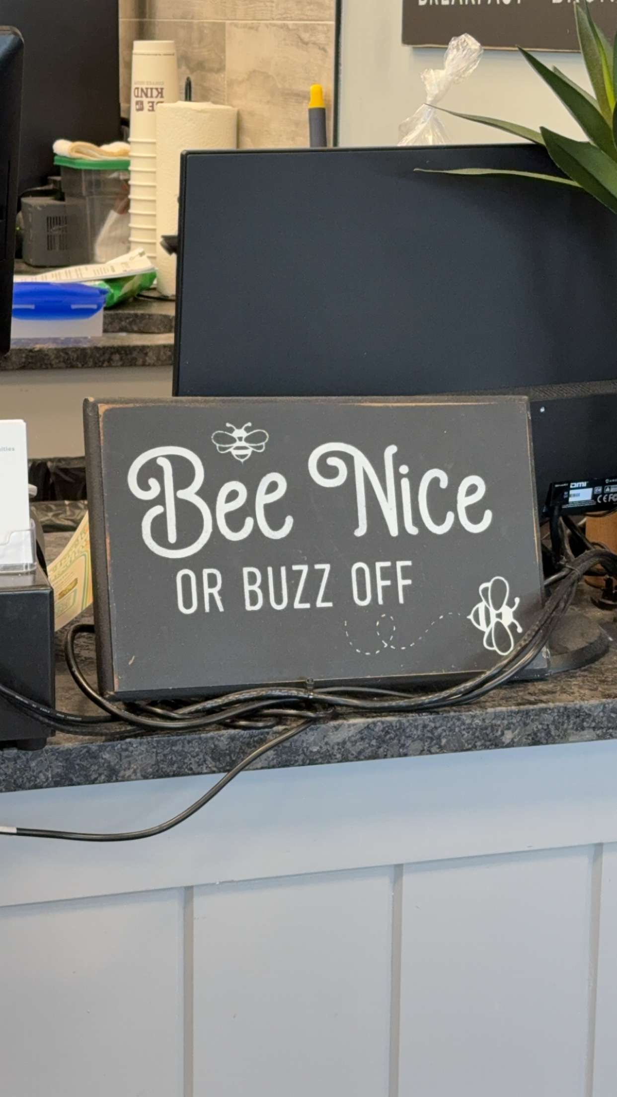 kayleedolisi snapchat image archive image