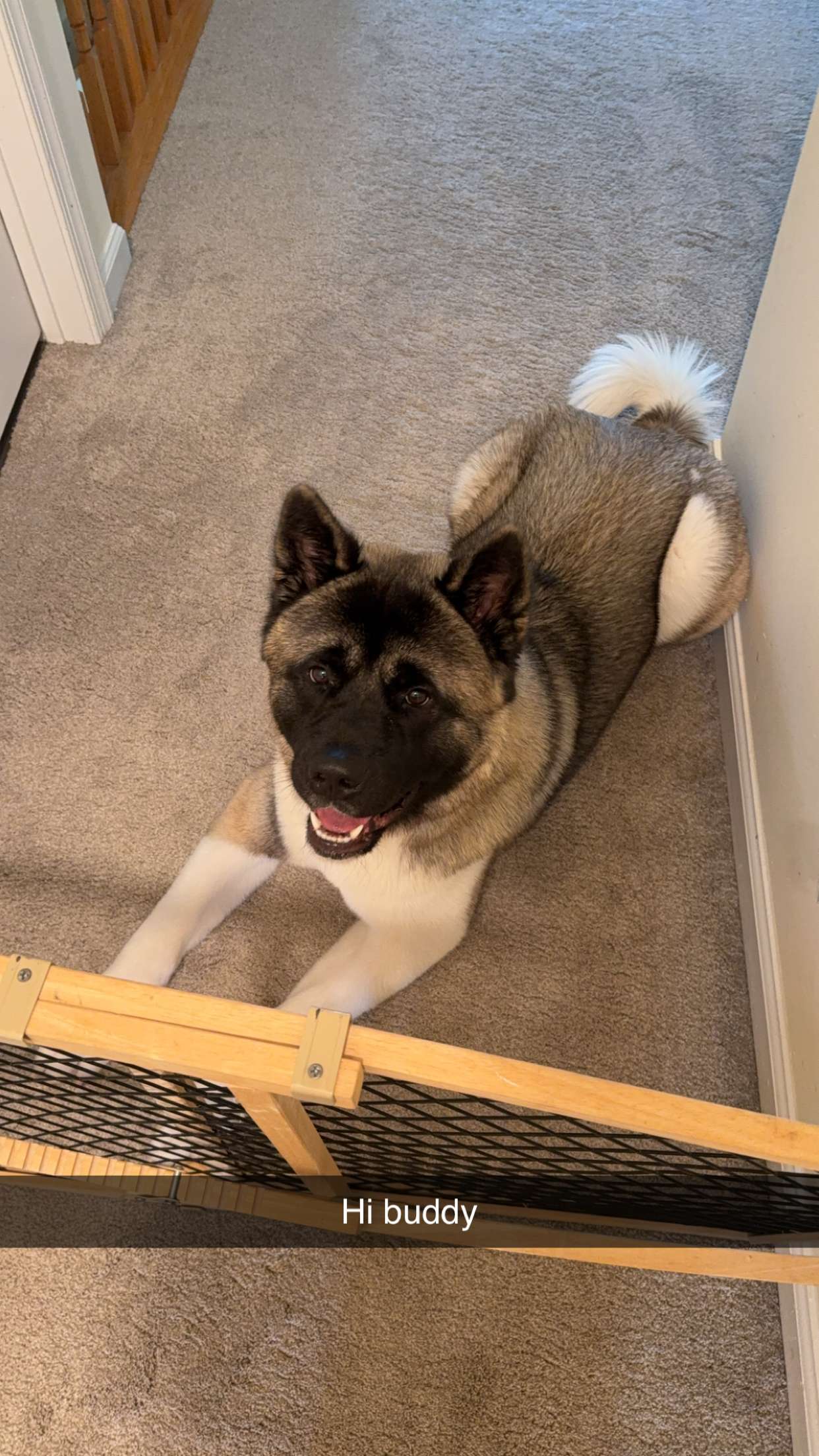 kayleedolisi snapchat image archive image