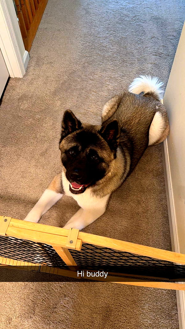 kayleedolisi image ~ Altpins