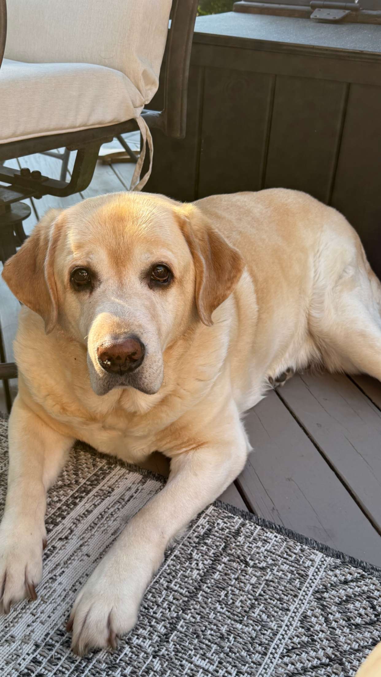 kayleedolisi snapchat image archive image