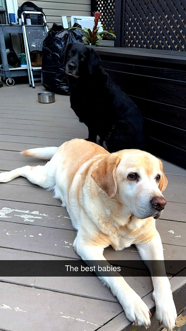 kayleedolisi image ~ Altpins