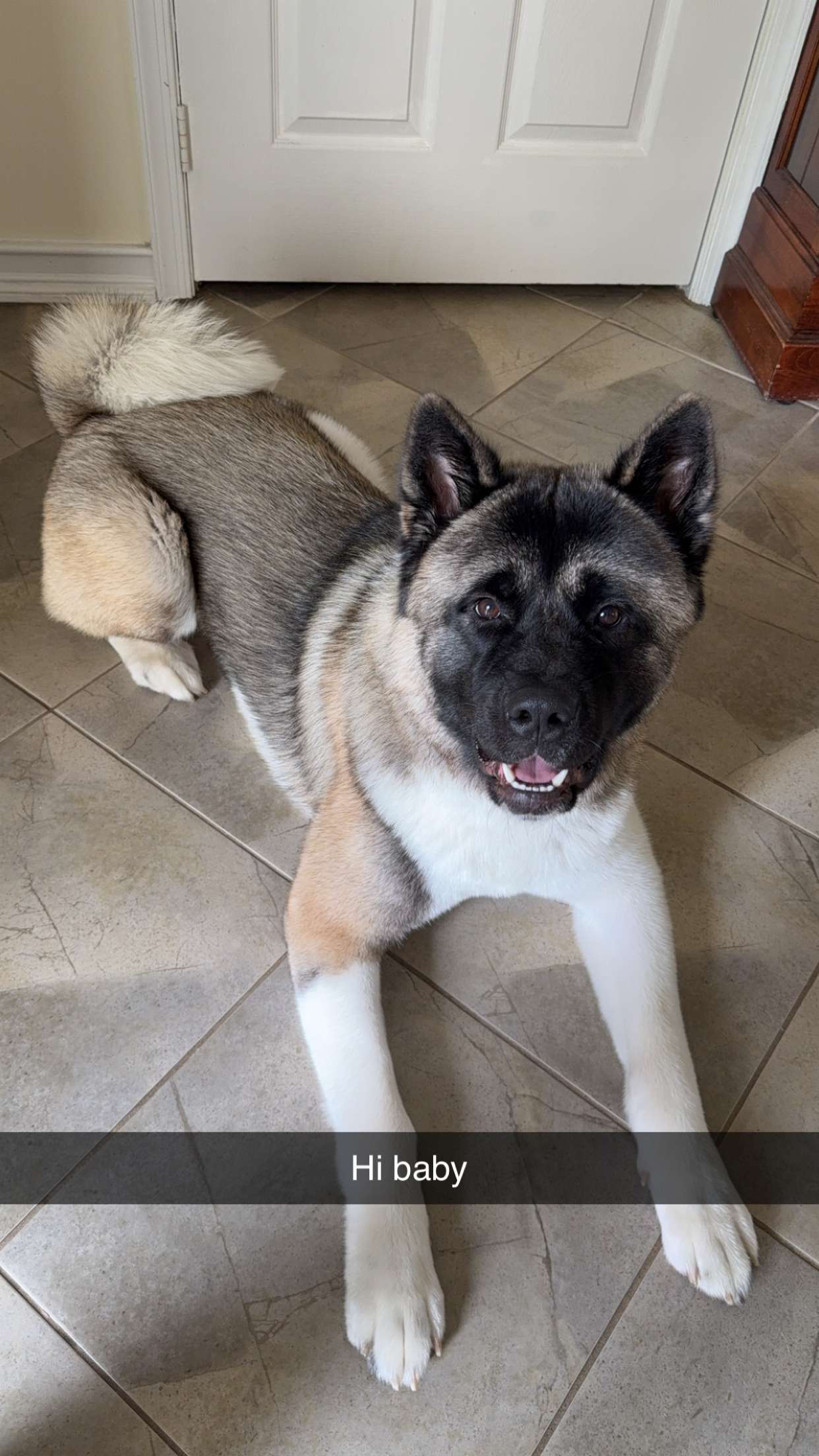 kayleedolisi snapchat image archive image