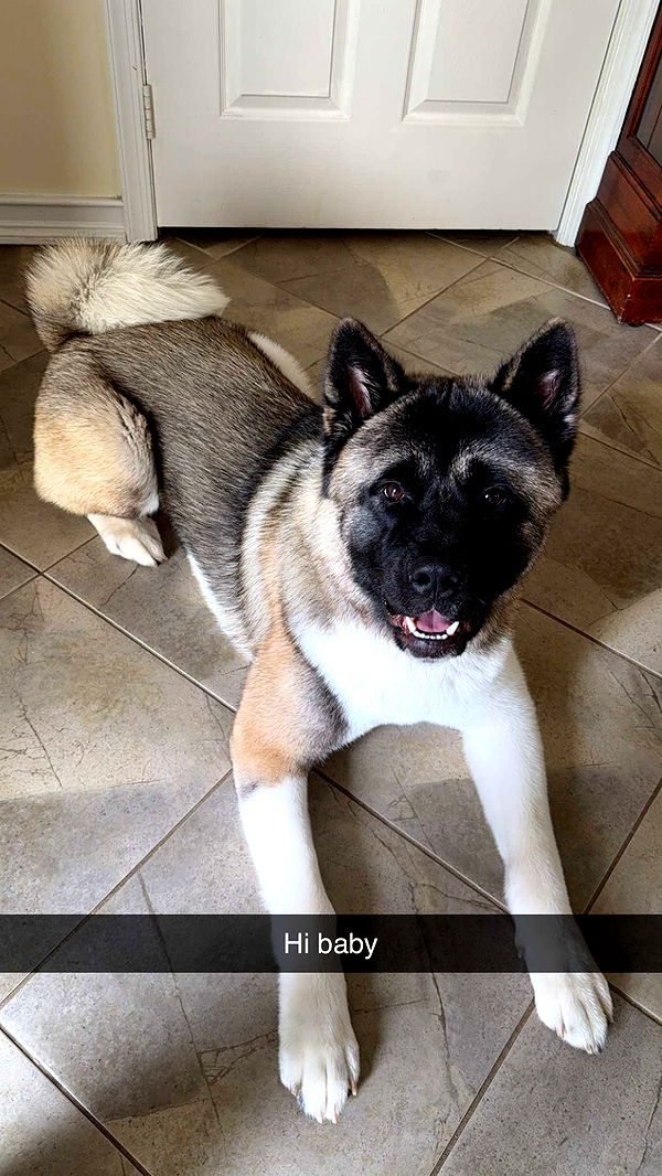 kayleedolisi image ~ Altpins