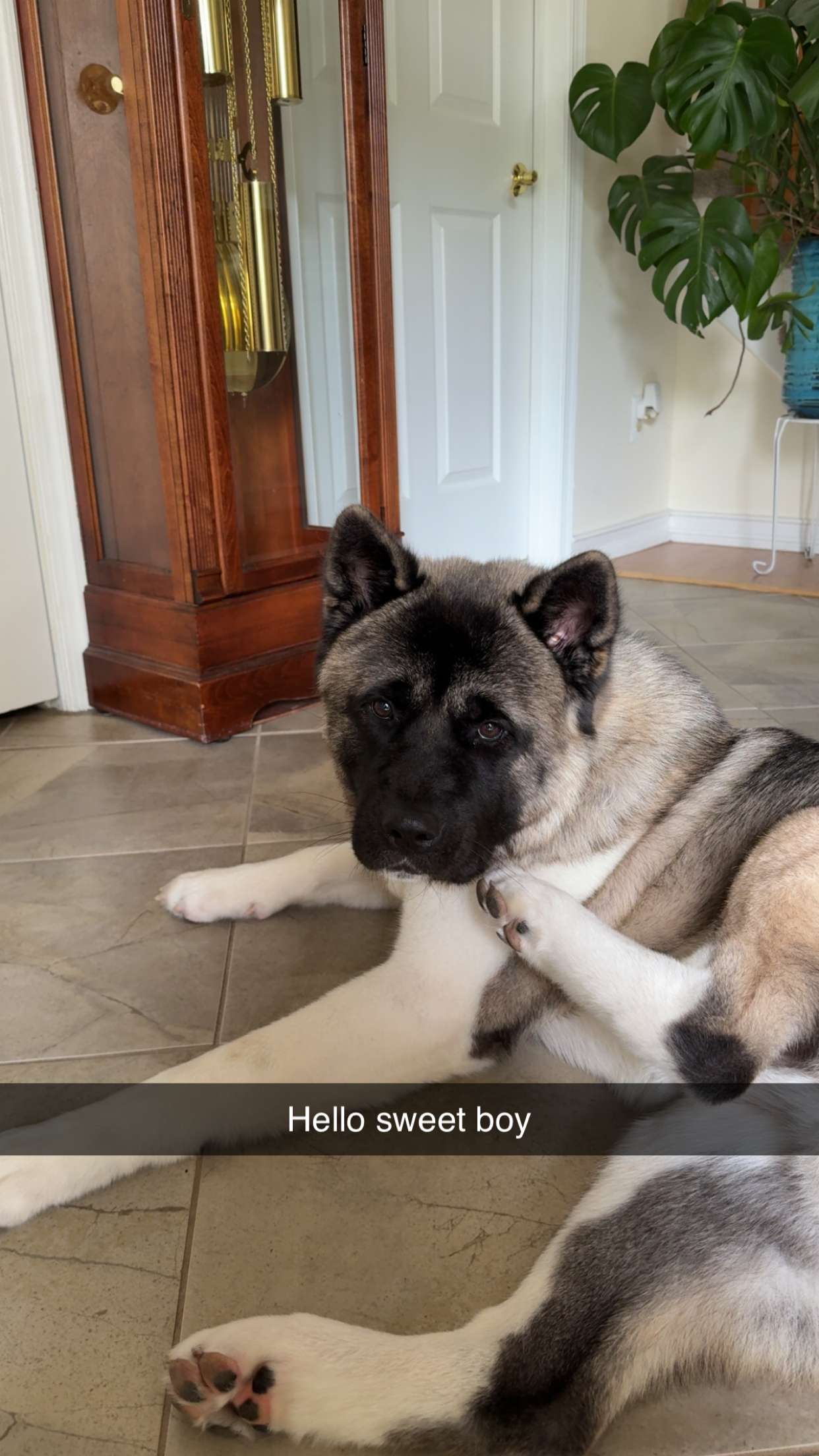 kayleedolisi snapchat image archive image