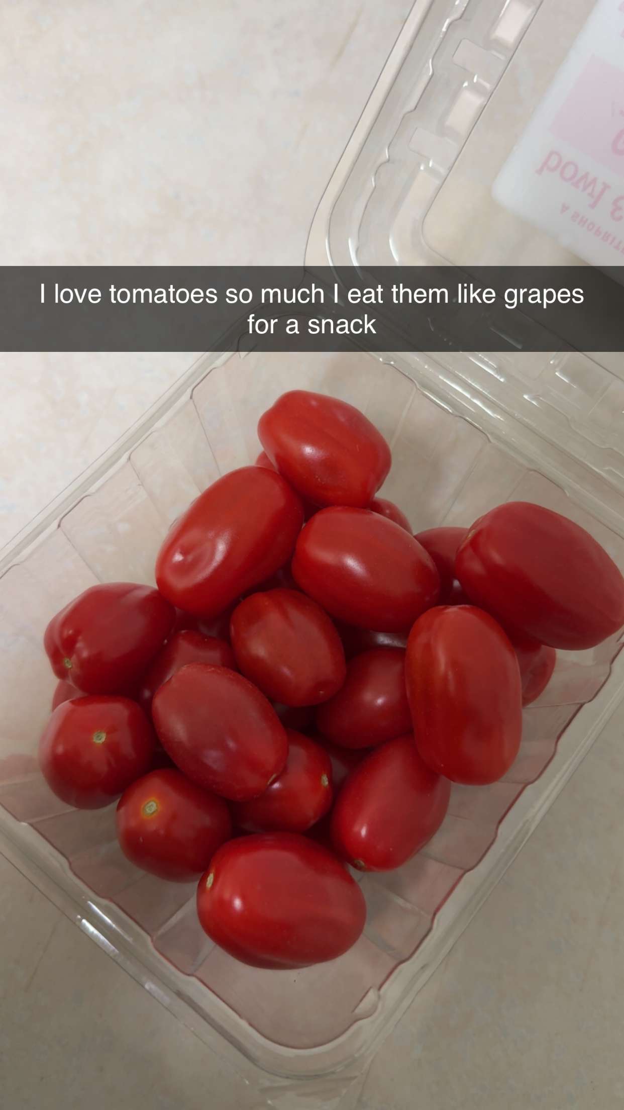 kayleedolisi snapchat image archive image