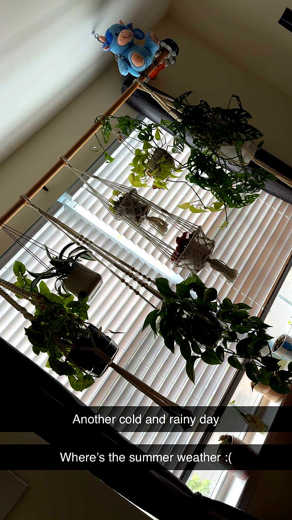 kayleedolisi image ~ Altpins