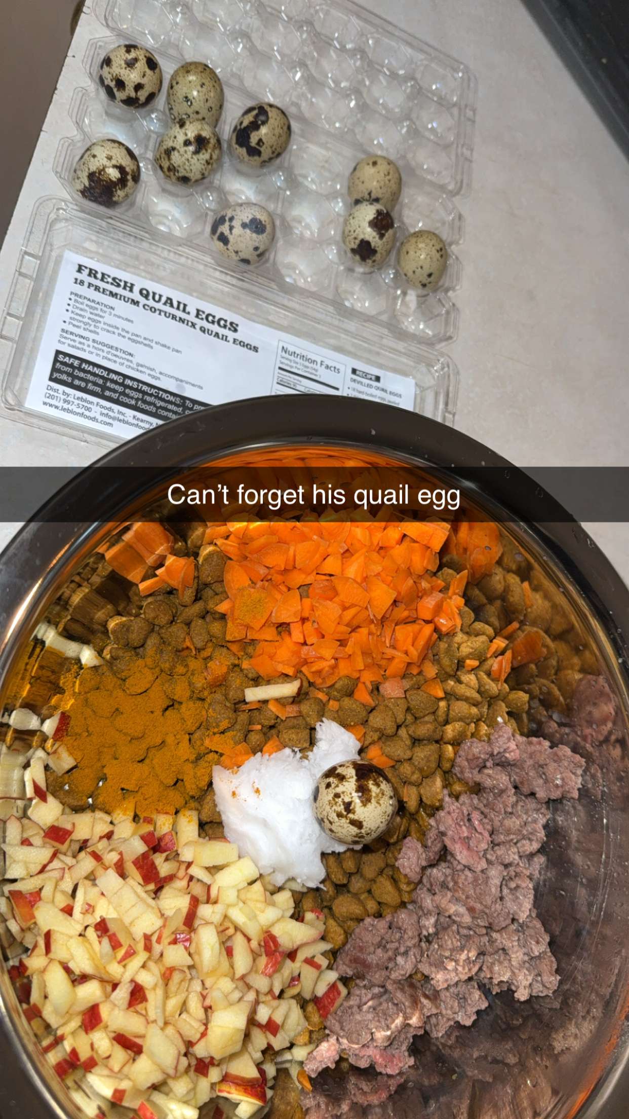 kayleedolisi snapchat image archive image