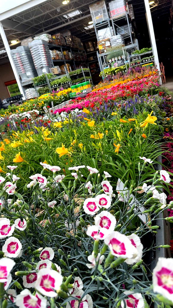 kayleedolisi image ~ Altpins