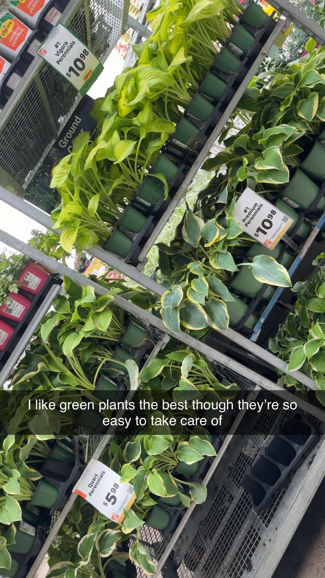 kayleedolisi snapchat image archive image