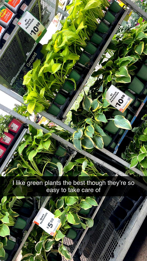 kayleedolisi image ~ Altpins