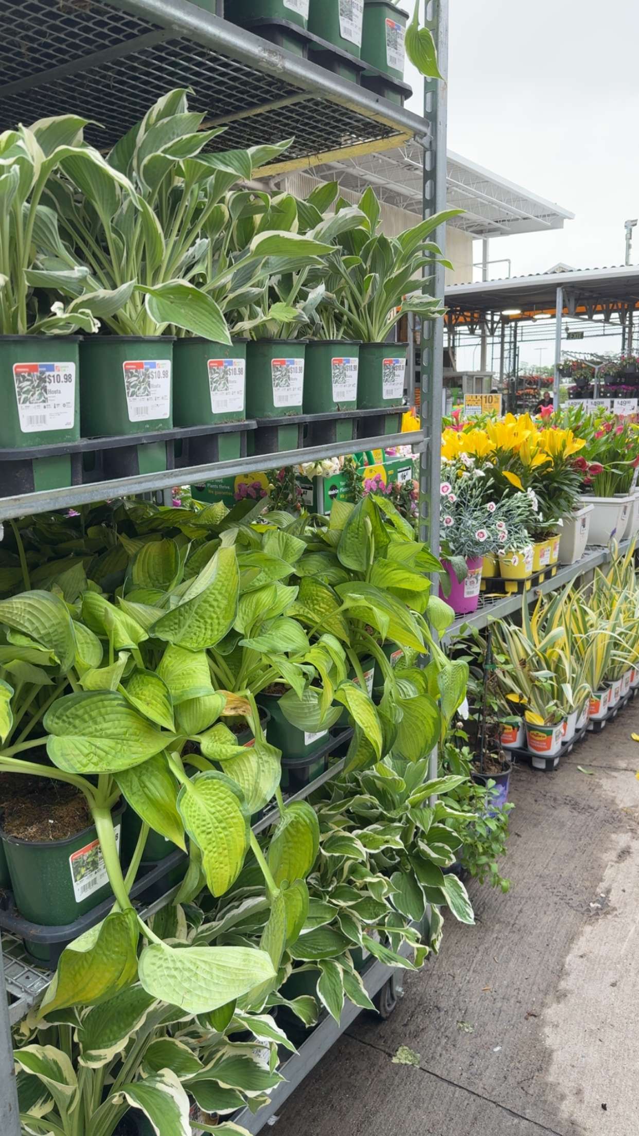 kayleedolisi snapchat image archive image