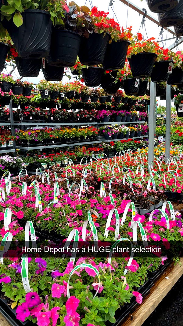 kayleedolisi image ~ Altpins