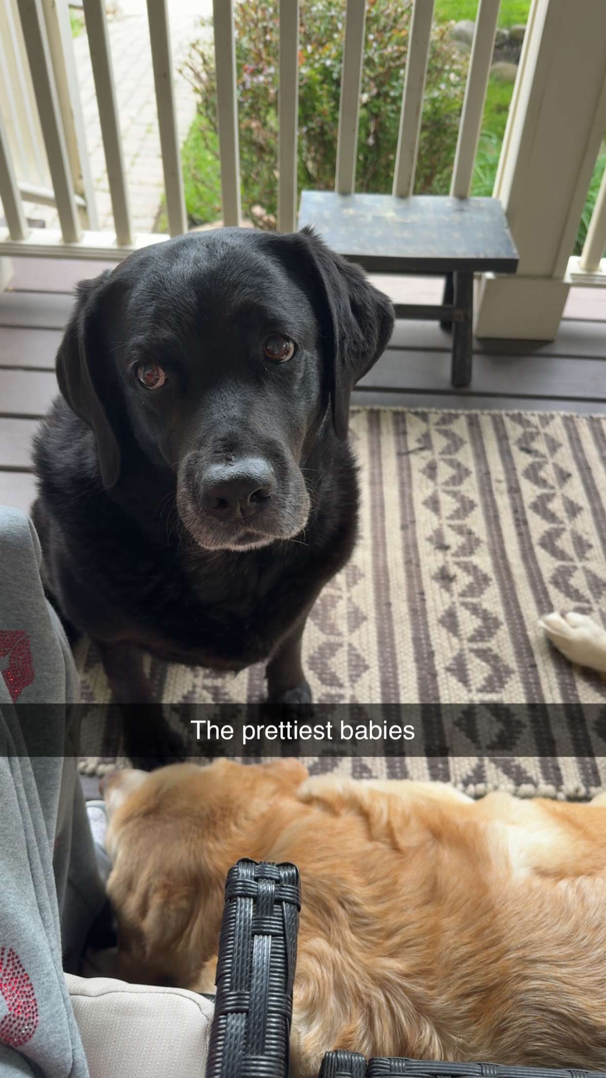 kayleedolisi snapchat image archive image