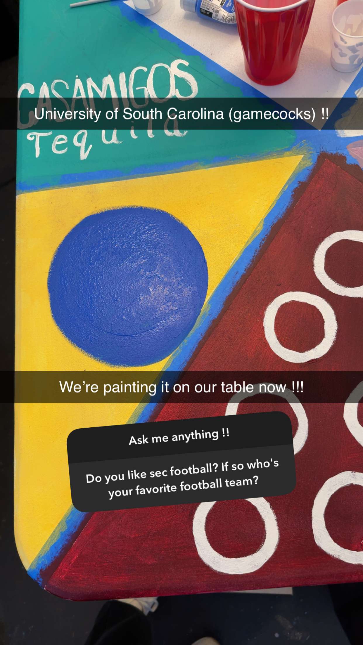 kayleedolisi snapchat image archive image