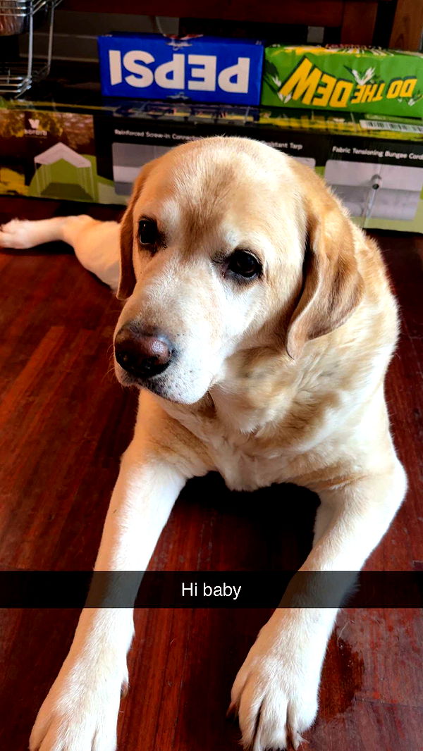 kayleedolisi image ~ Altpins