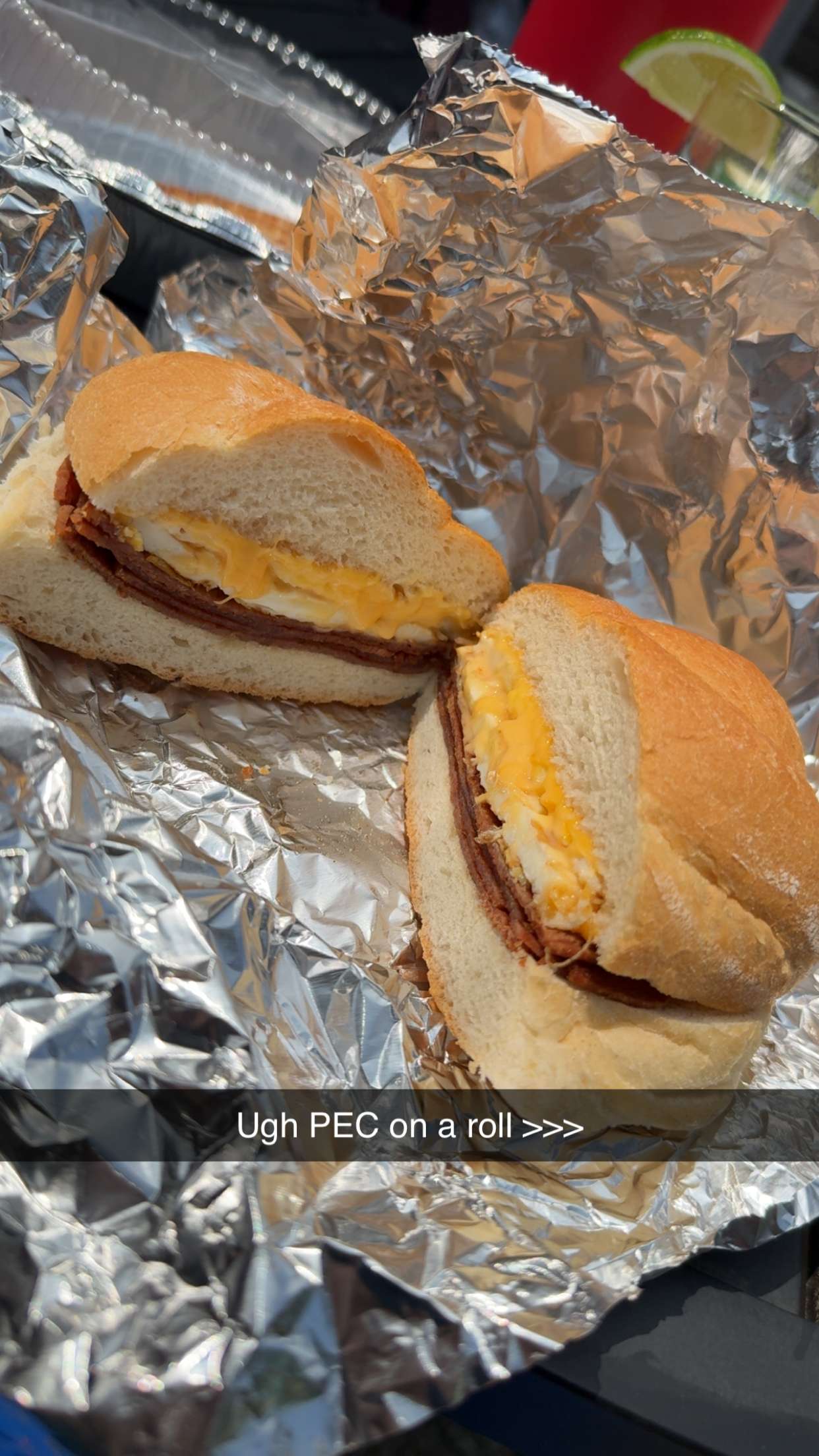 kayleedolisi snapchat image archive image